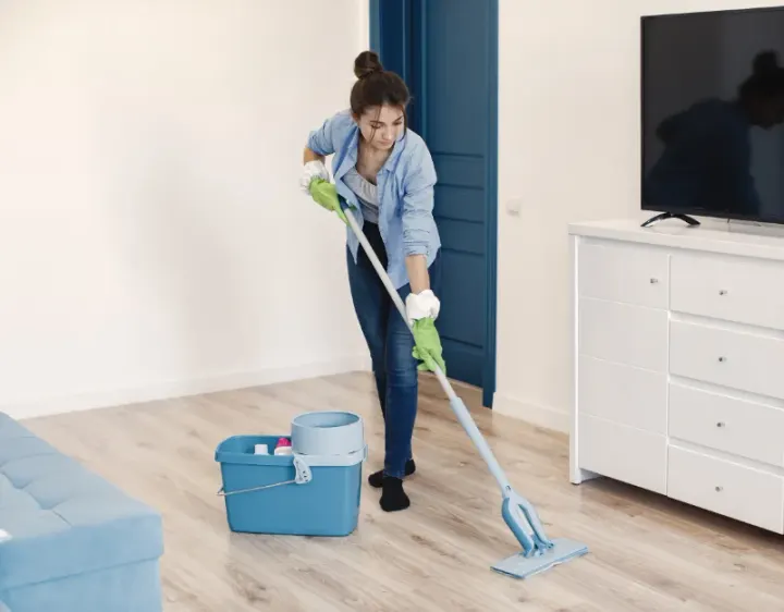 Femme de ménage Dettwiller